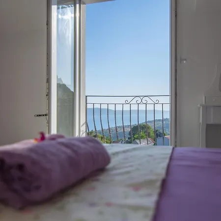 Lavanda Zivogosce * Drvenik (Split-Dalmatia)